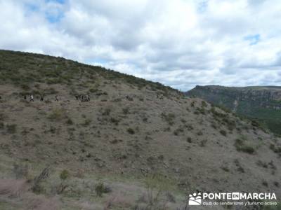 Senda Genaro - GR300 - Embalse de El Atazar - Patones de Abajo _ El Atazar; senderos y cascadas